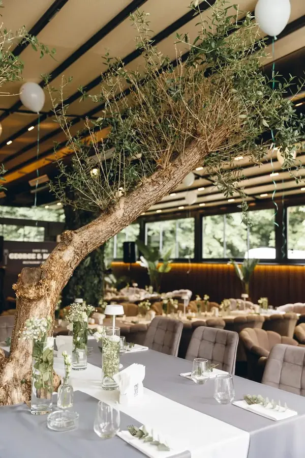 Decorative olive tree and a set table on the events terrace