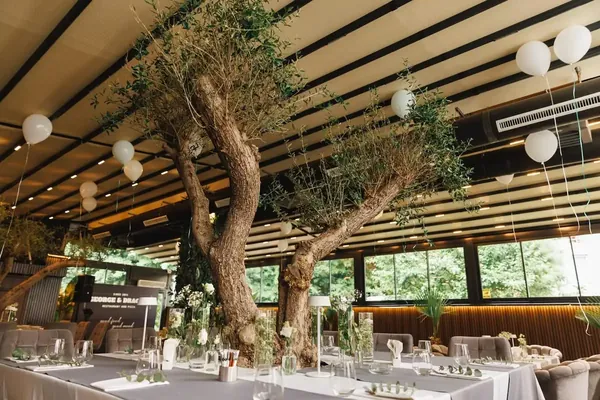 Decorative olive trees and balloons under the terrace roof during an event